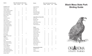 View Black Mesa Birding Guide